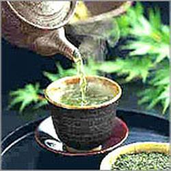Green Tea Manufacturer Supplier Wholesale Exporter Importer Buyer Trader Retailer in Kolkata West Bengal India